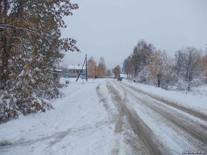 В Пакшеньге первый снег. 11 октября 2014 г.